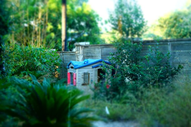 后院的剧场图片下载