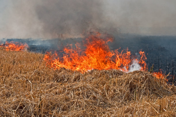 燃烧领域图片下载