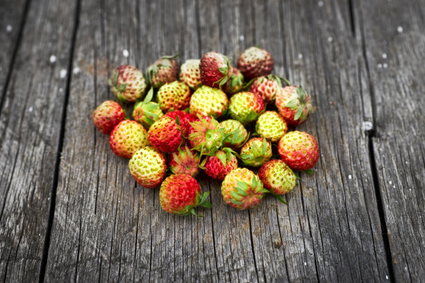 一串红野草莓图片下载