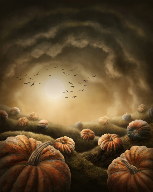 黑暗的景观图片下载