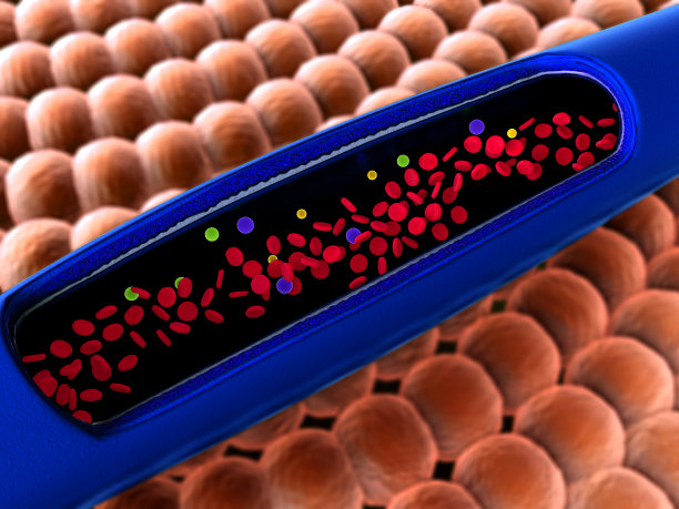 红细胞,血管图片下载