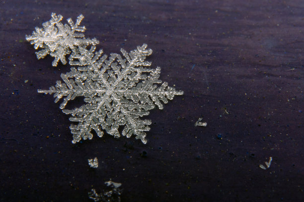 雪花的细节图片下载