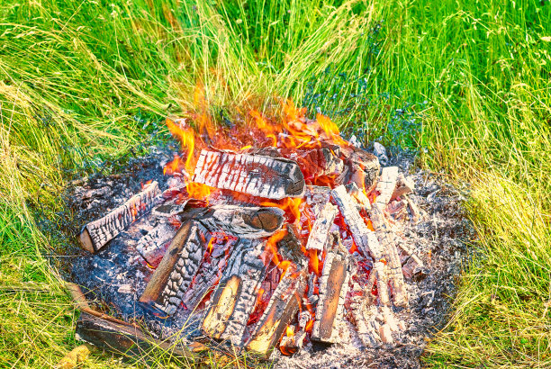 火在自然界中图片下载