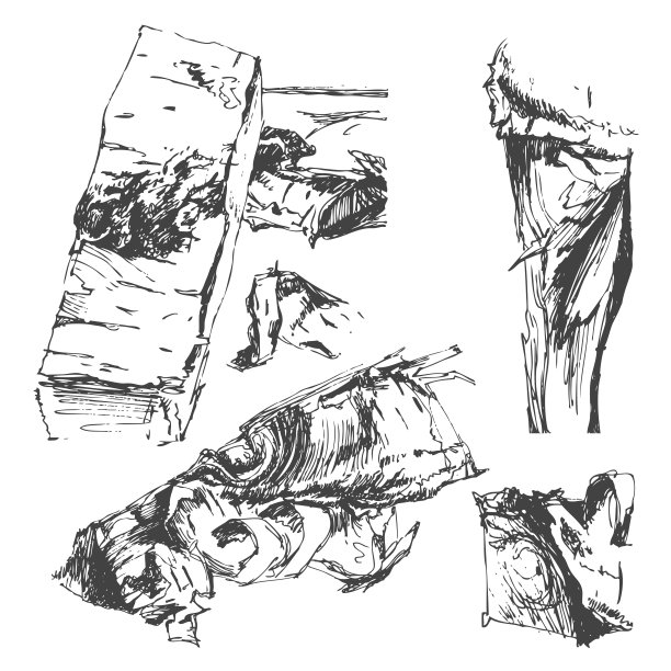 木柴孤立在白色的背景上。向量集,素描。图片下载