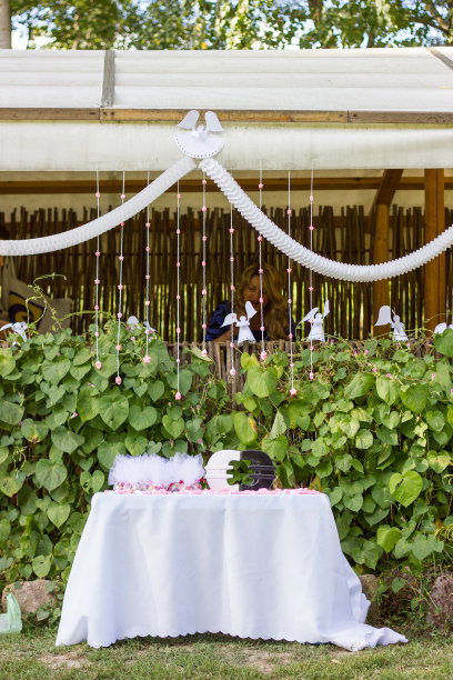 布置桌子。图片下载