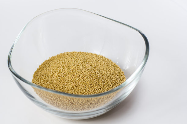 苋属植物种子图片下载