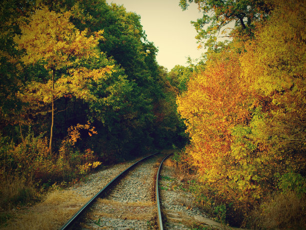 森林中的铁路图片下载