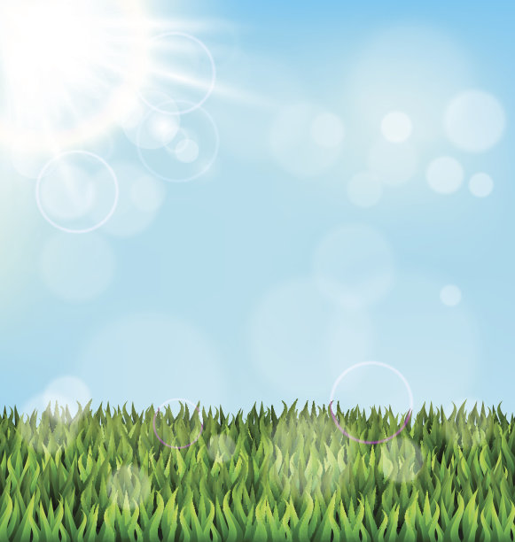 绿草如茵的草坪，阳光洒在蓝天上。植物的自然图片下载
