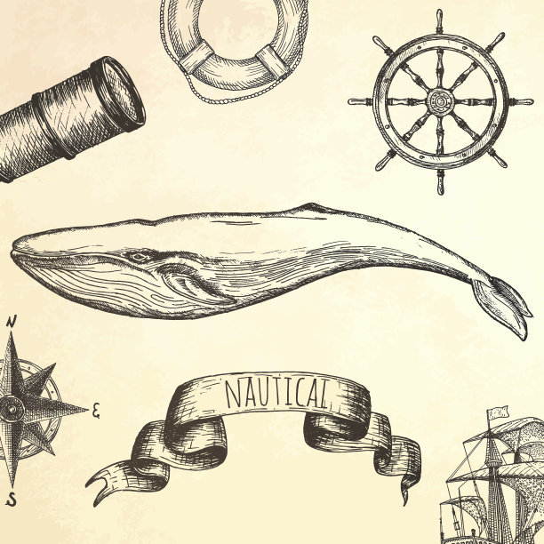 雕刻手绘鲸鱼。图片下载