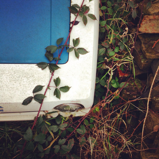 的深谷图片下载