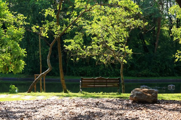 公园长椅在绿色植物图片下载