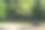 公园长椅在绿色植物图片下载