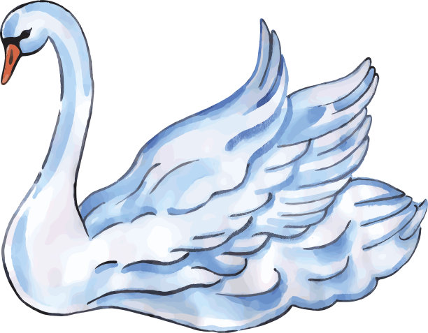 有升力翅膀的天鹅素材图片