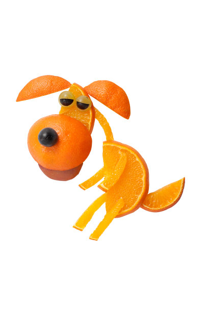 狗在有趣的水果坐姿势图片下载