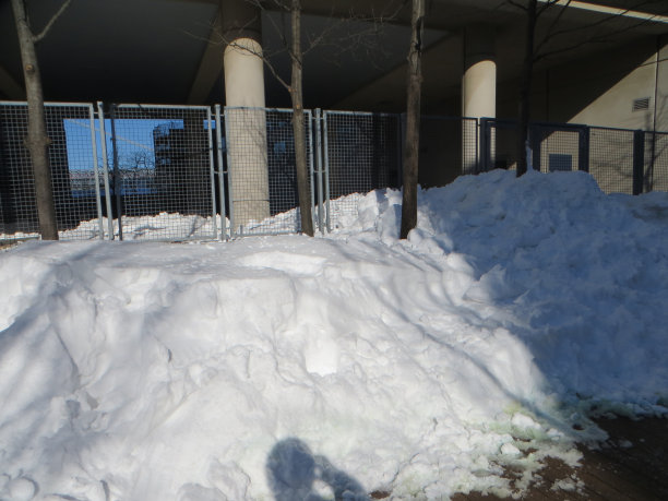 2016年1月24日，暴风雪威廉斯堡大桥图片下载