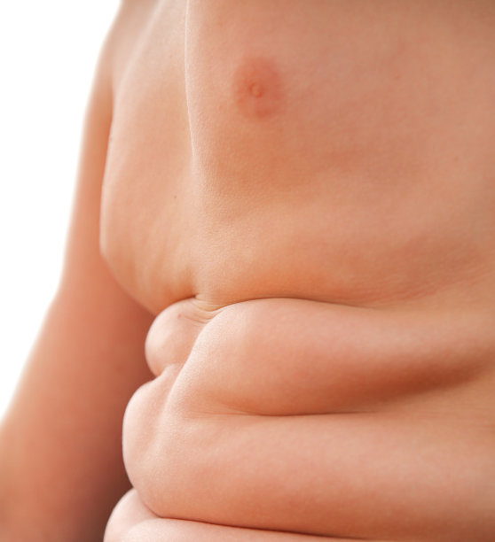 脂肪,大肚子图片下载