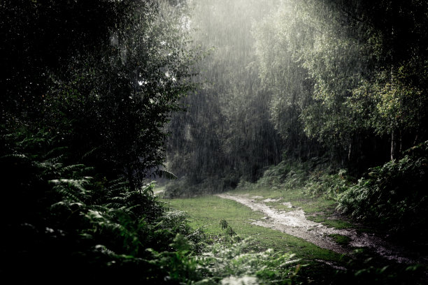 暴雨-在户外散步时会下倾盆大雨图片下载