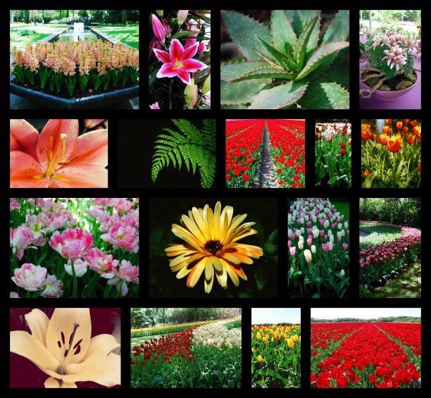 拼贴花照片-黑色背景，网格形成。图片下载