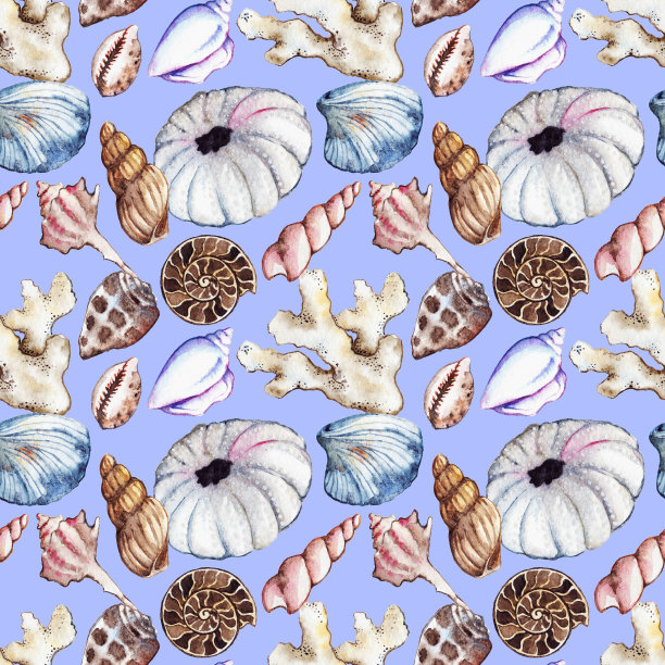 水彩海洋海洋贝壳蛤珊瑚菊石海胆无缝图案图片下载