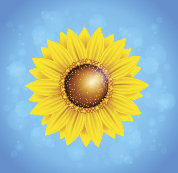 向日葵和蓝天图片下载