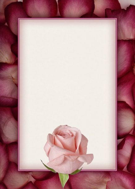 戏剧性的玫瑰花瓣与粉色玫瑰和矩形复制空间。图片下载