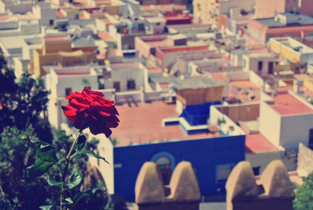 从阿尔卡扎巴要塞的顶端俯瞰阿尔梅里亚图片下载