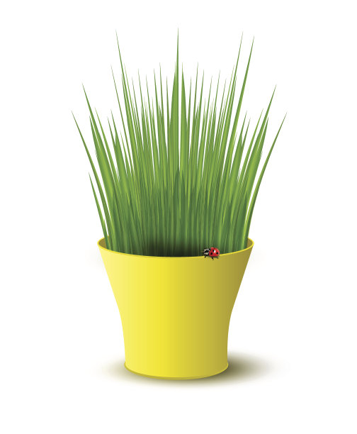 向量黄色花盆与绿色的草图片下载