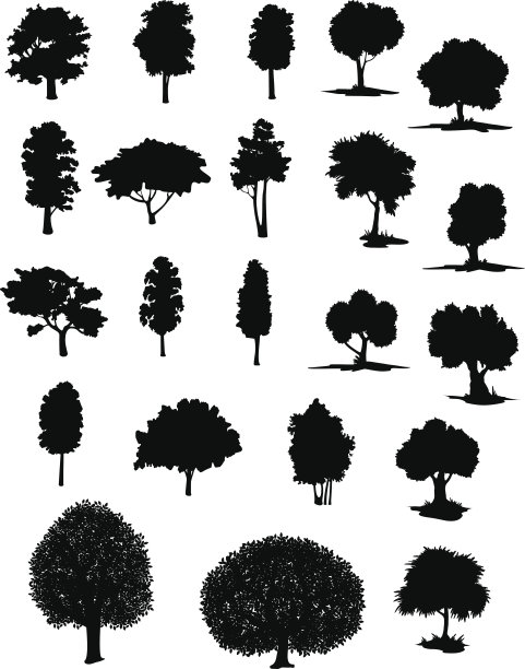 各种树木的矢量剪影图片下载