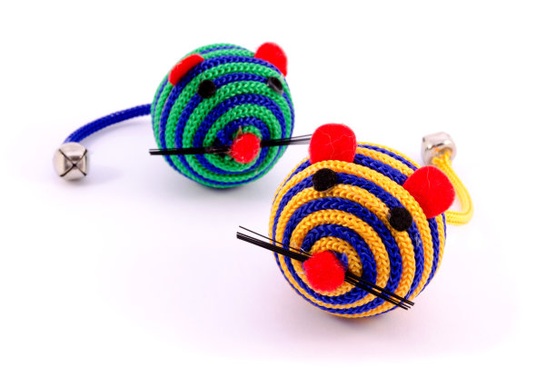 宠物玩具近距离隔离图片下载