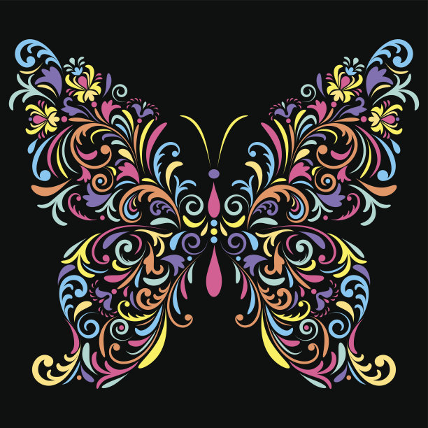 黑色背景上的花蝴蝶图片下载