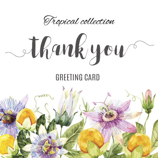 框架与水彩花图片下载