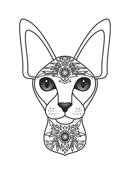 装饰性的白猫图片下载