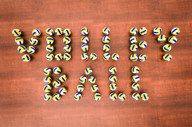 排球3 d演示图片下载