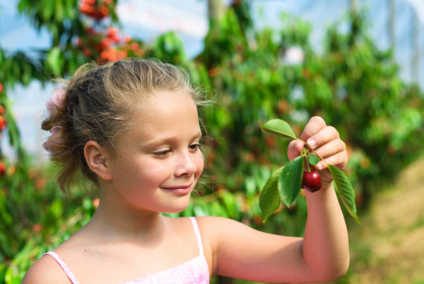 特写肖像漂亮的小女孩抱着樱桃在樱花园图片下载