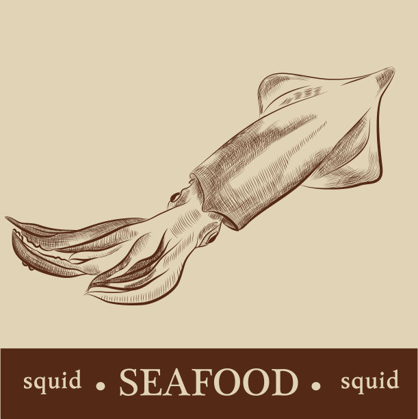 矢量动画鱿鱼图片下载