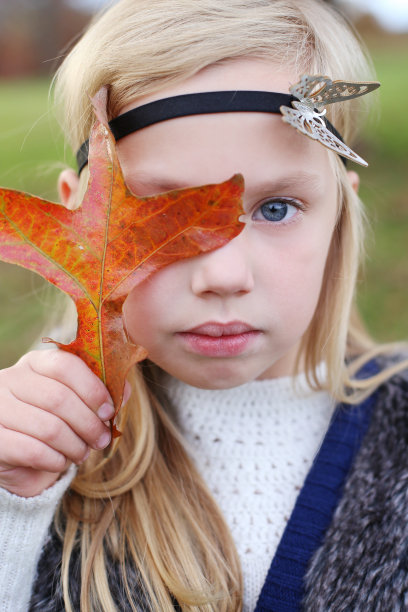 躲在叶子上图片下载