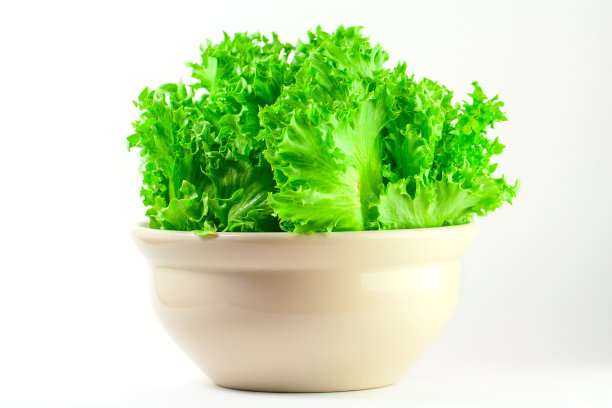 有益健康的绿色橡木图片下载