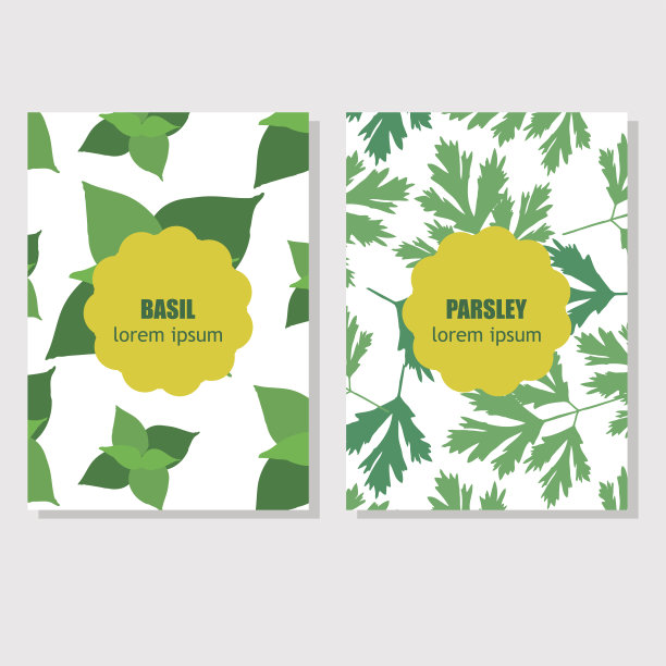 用香草和香料包装设计的概念图片下载