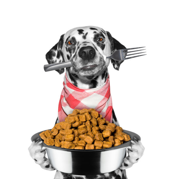 狗是饿了，留下食物和叉子图片下载