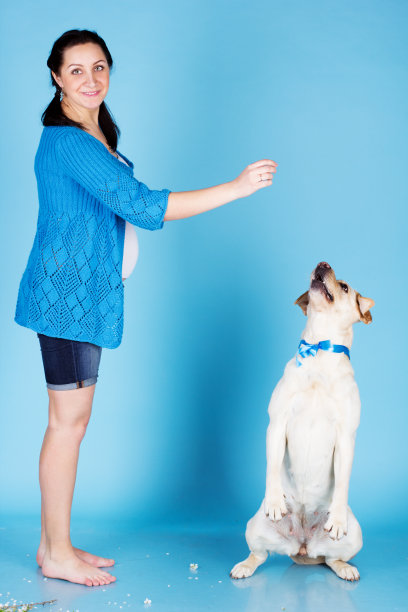 漂亮的女孩和她的拉布拉多犬图片下载