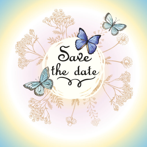 装饰背景与香草和蝴蝶图片下载