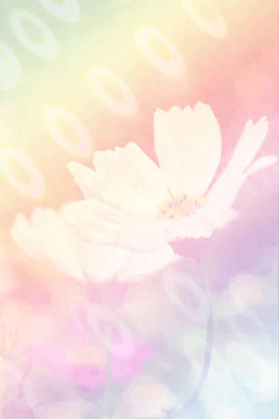 宇宙的白色花图片下载