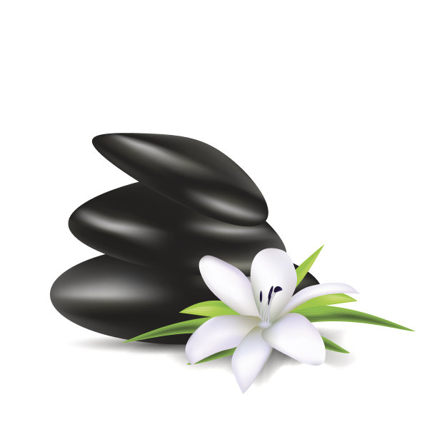 温泉的背景有石头，还有一根青竹图片下载