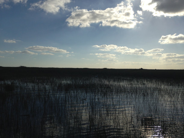 大沼泽国家公园。图片下载