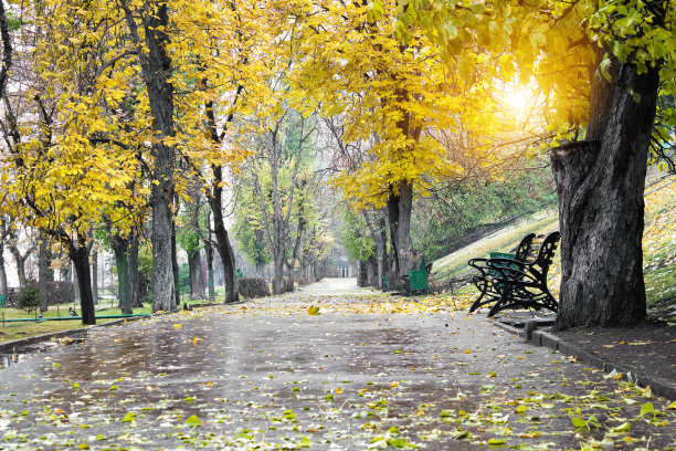 街道图片素材ID：126622150