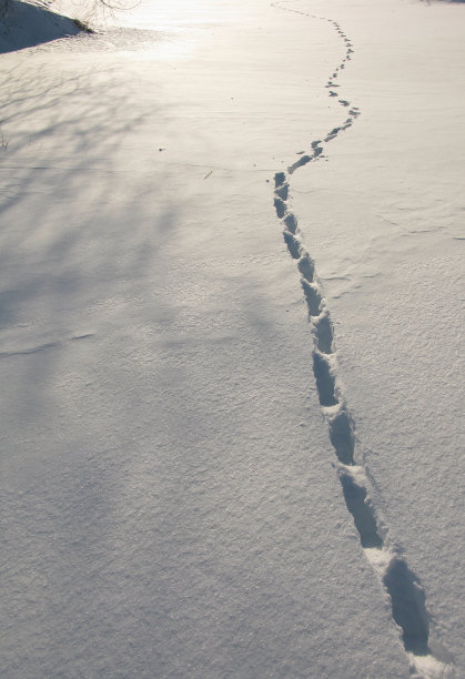 直线上的轨迹图片下载