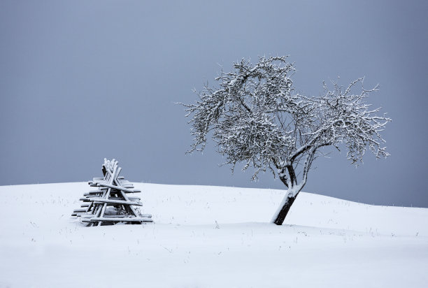 冬天的风景图片下载