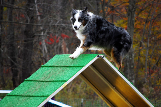 澳元/的尖顶图片下载