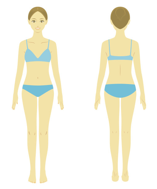 女人的身体模型图片下载