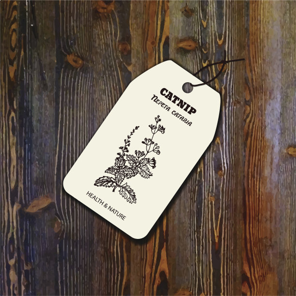 健康与自然收藏图片下载